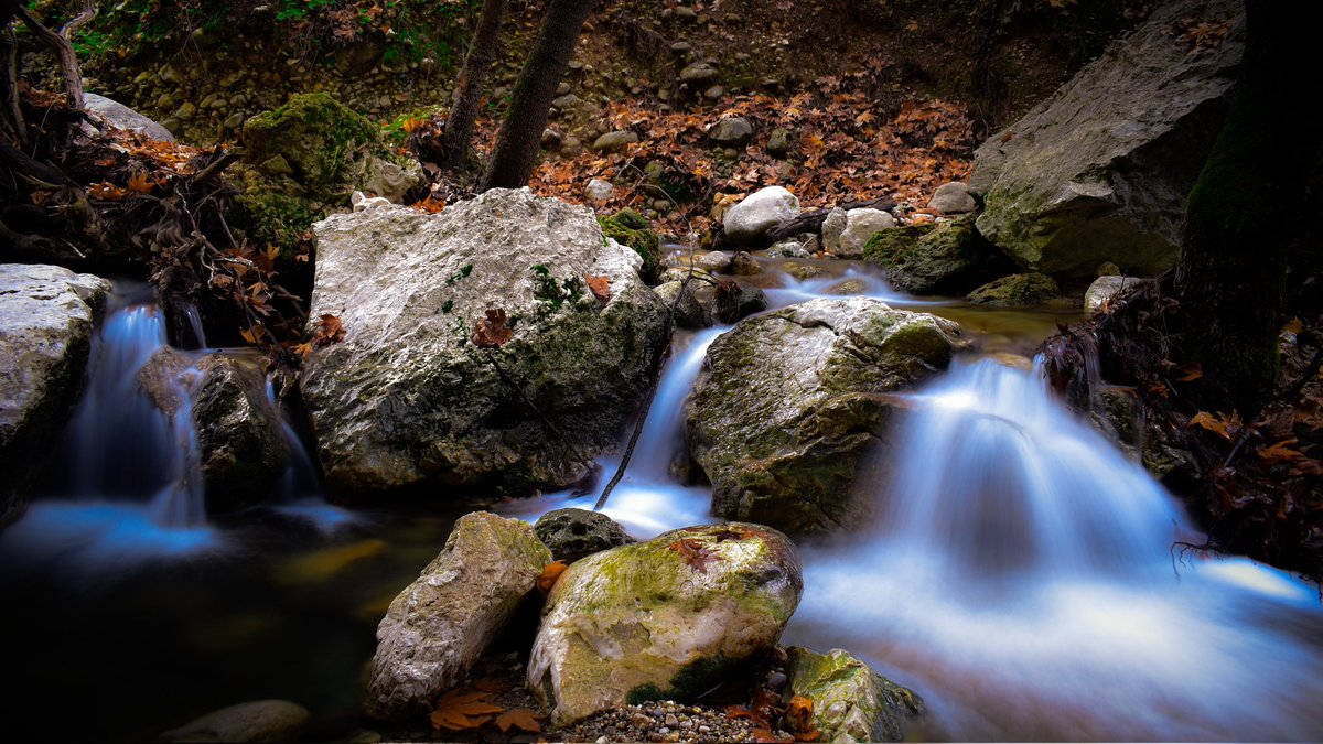 Elias_t 💎 tweet media