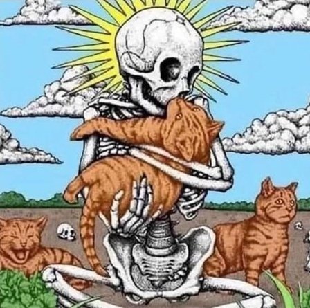 Bonk & Jerk tweet media