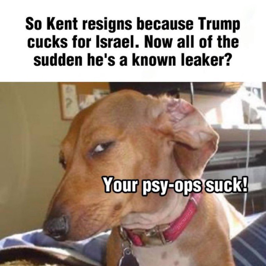 BishBashBosh888 tweet media