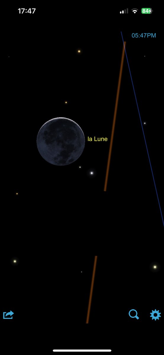 The Designer tweet media