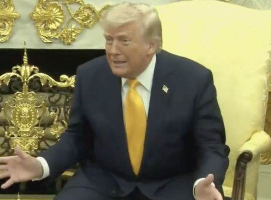 zerolore tweet media