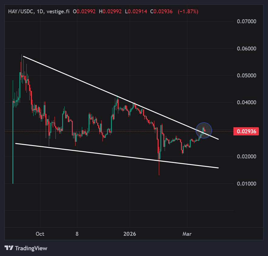 moonboy.algo 🌕 tweet media