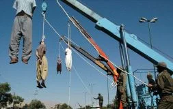 Amapola 🇨🇺 tweet media