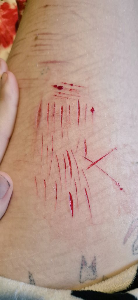 Ghost of Shtwt tweet media