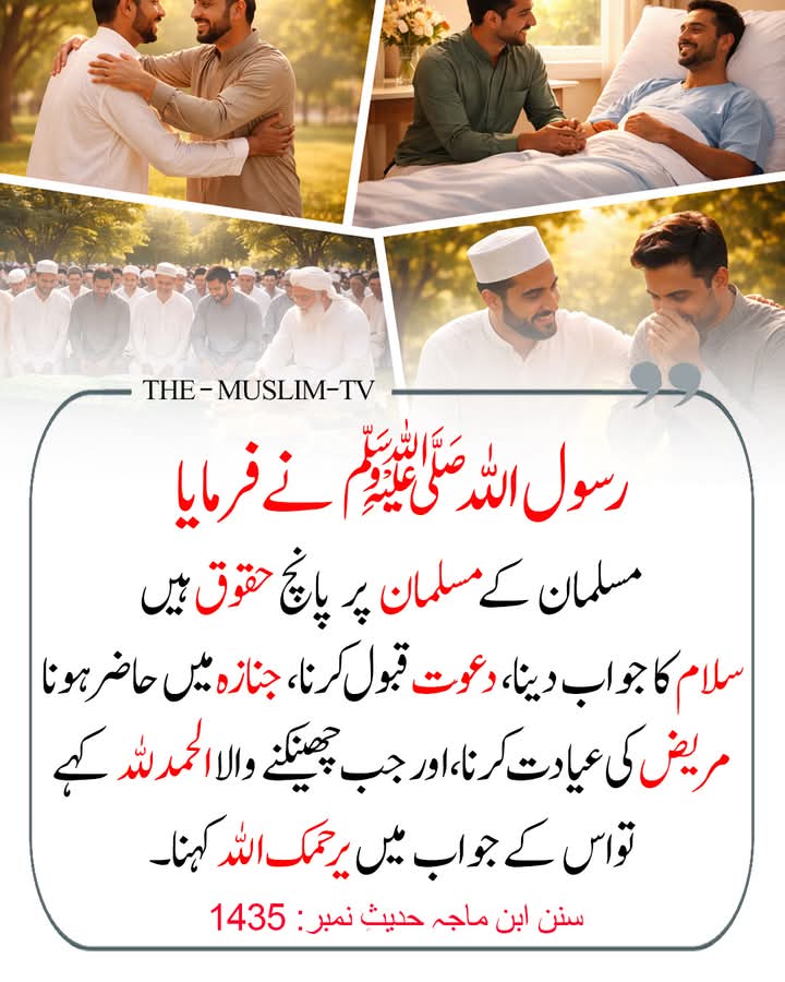 Mahwish Zafar tweet media