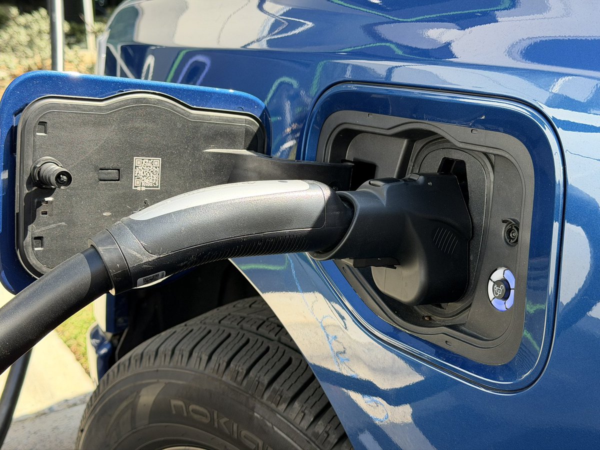 Branden Flasch tweet media