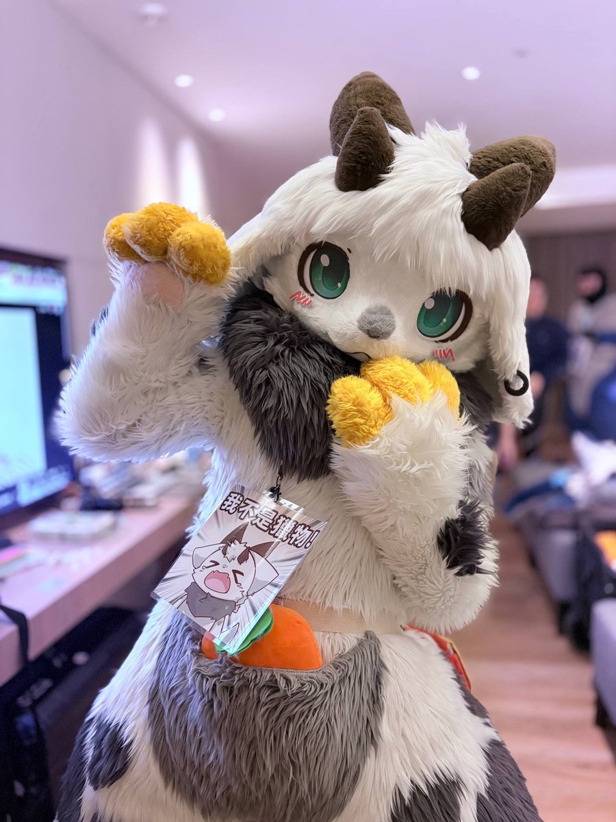 正義セイギ➡️Hifurry tweet media