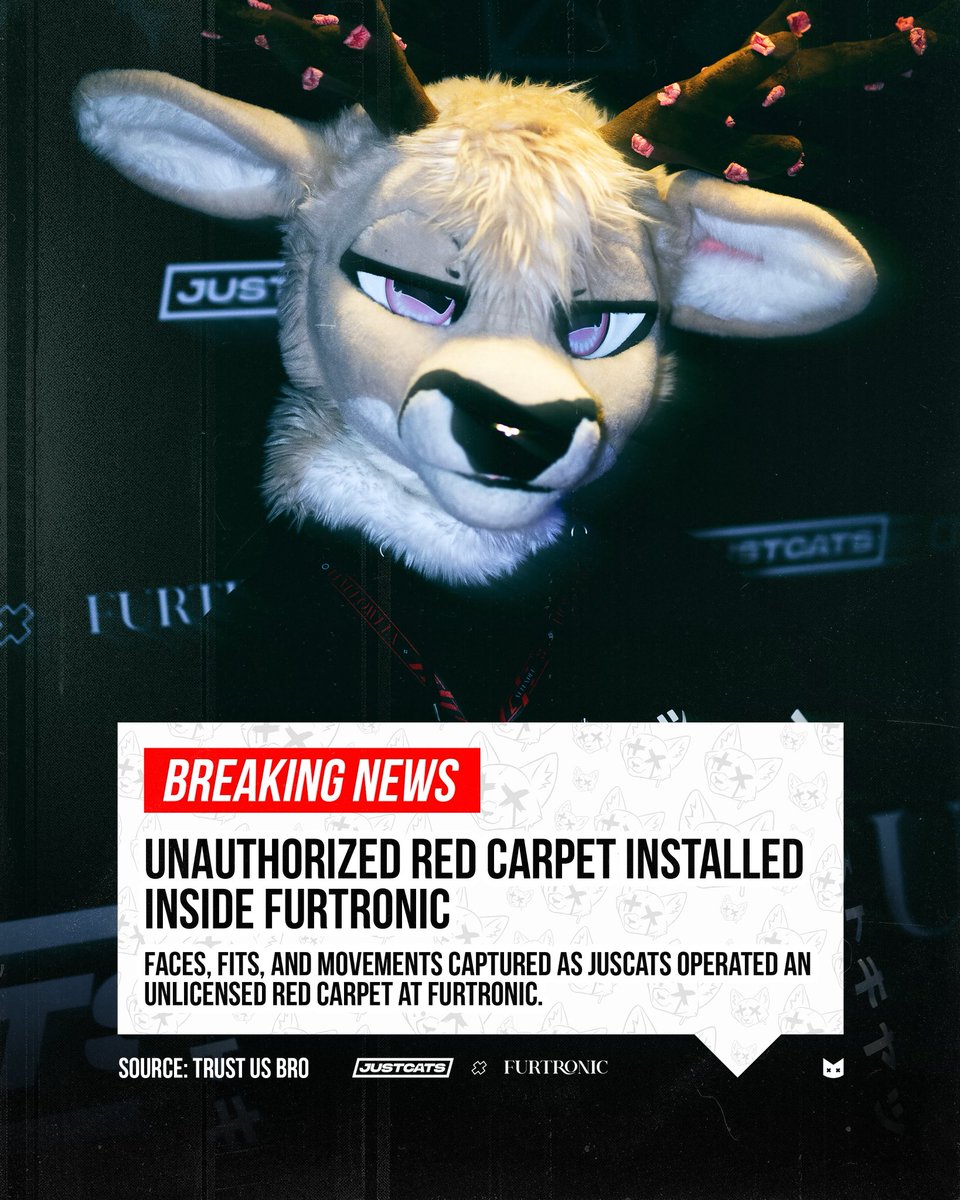 JustCats tweet media