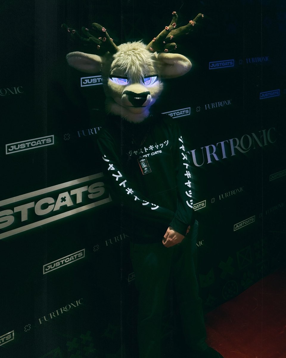 JustCats tweet media