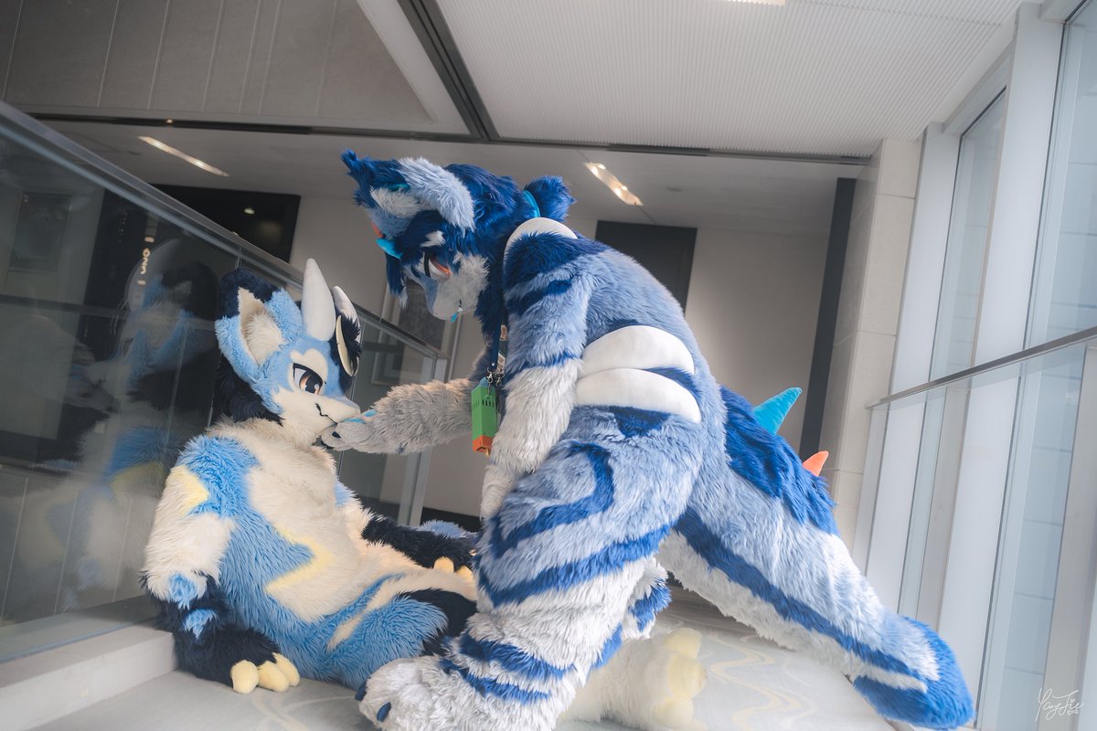 烈烈烈 tweet media