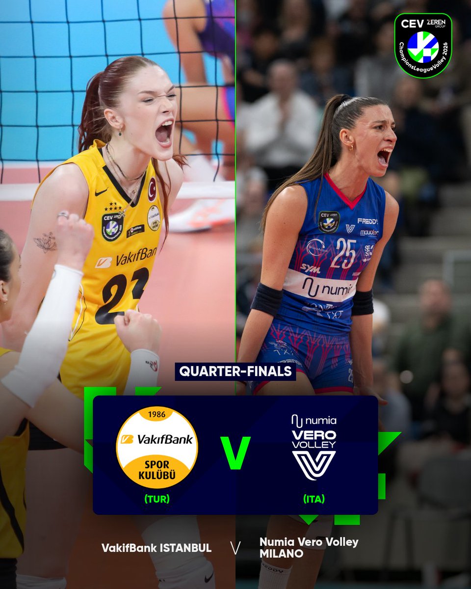 European Volleyball tweet media