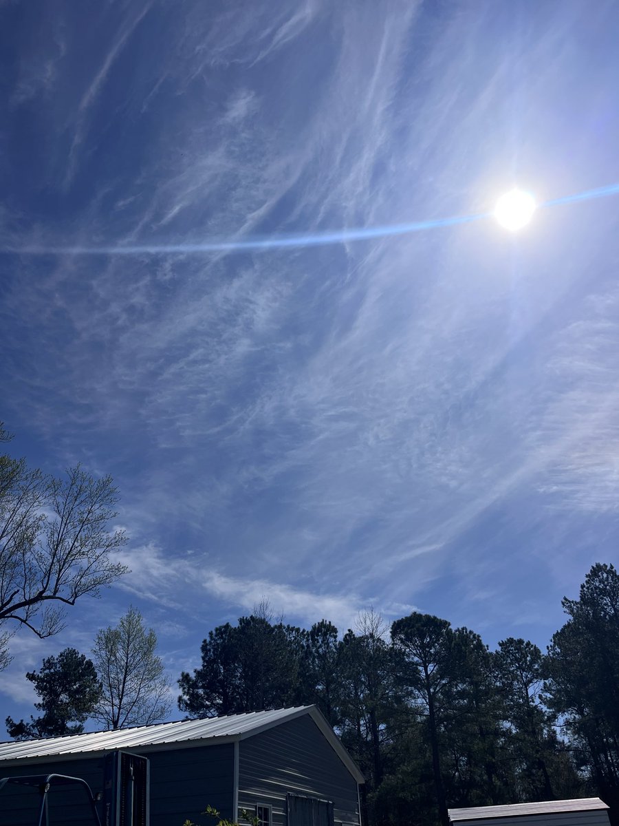 Jodi Alfano tweet media