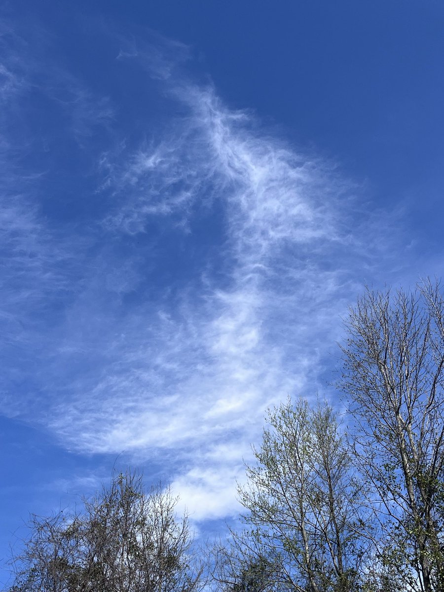 Jodi Alfano tweet media