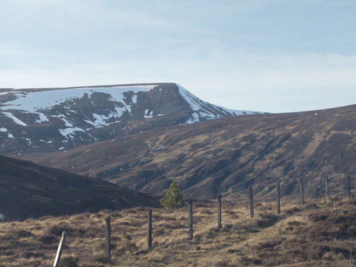 LOUDfenceUK tweet media