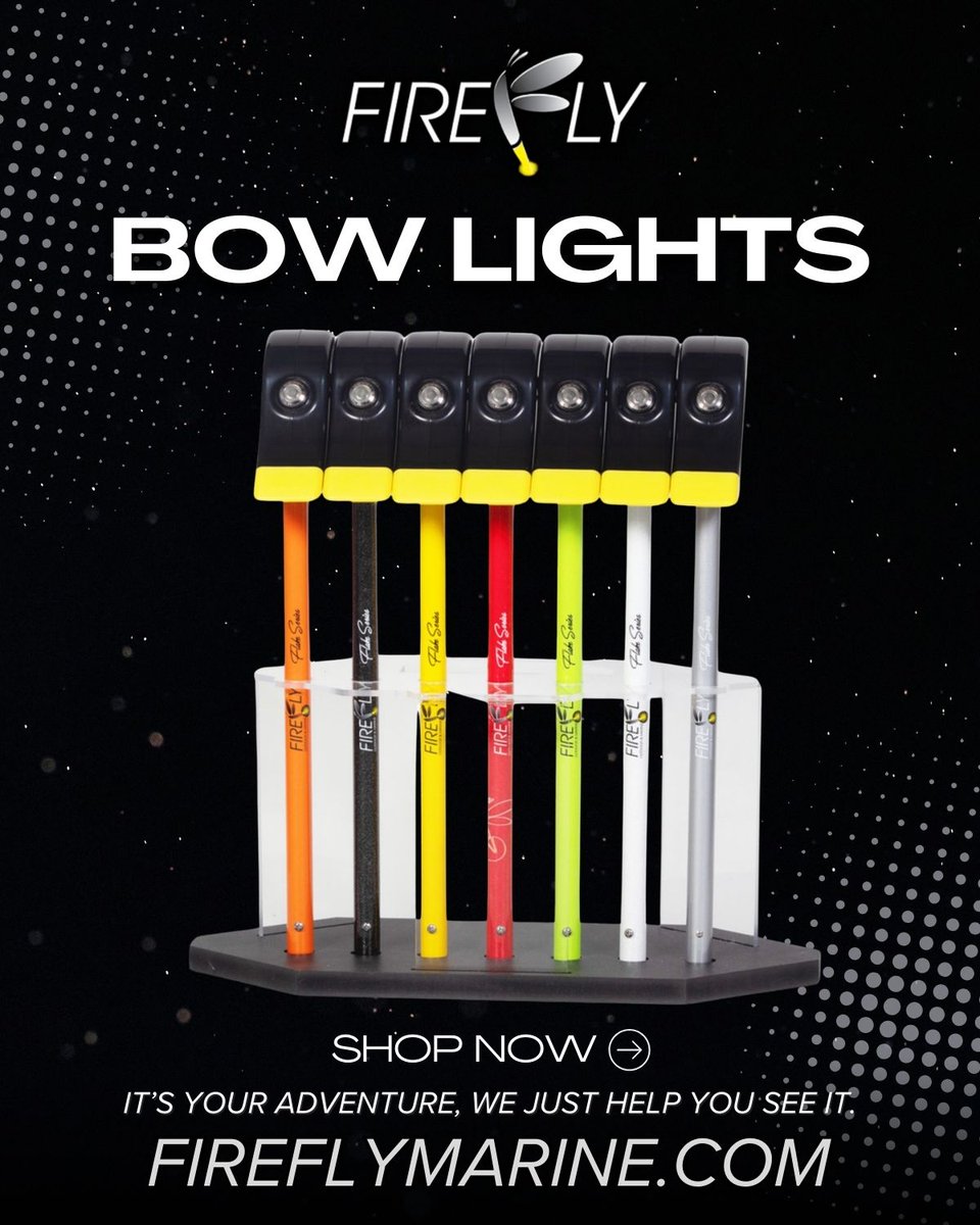 Catfish NOW tweet media