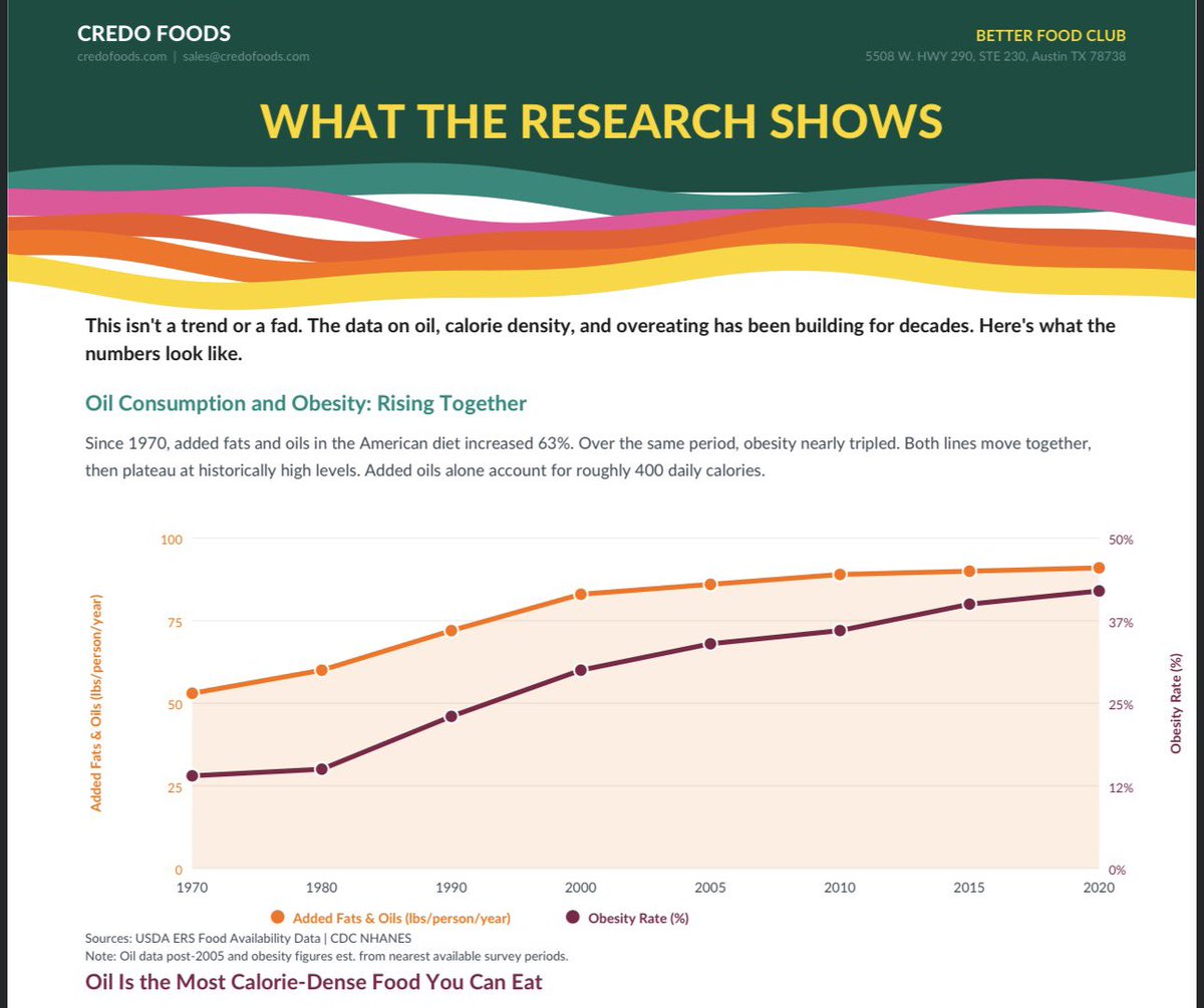 Adam Salamon tweet media