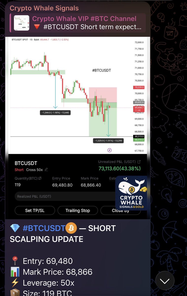 BitWhaleTrader tweet media