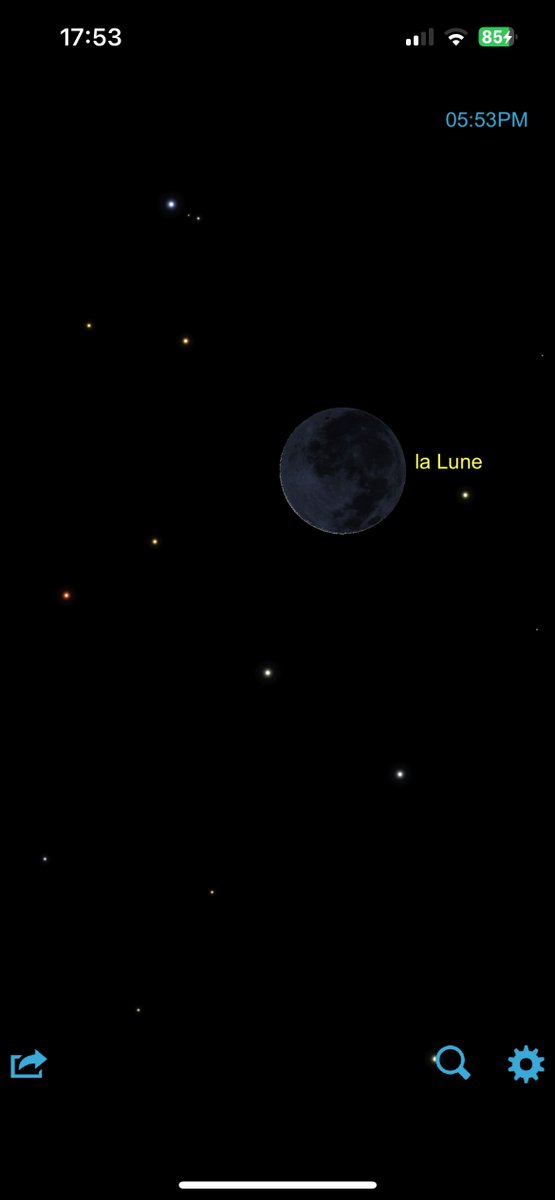 The Designer tweet media