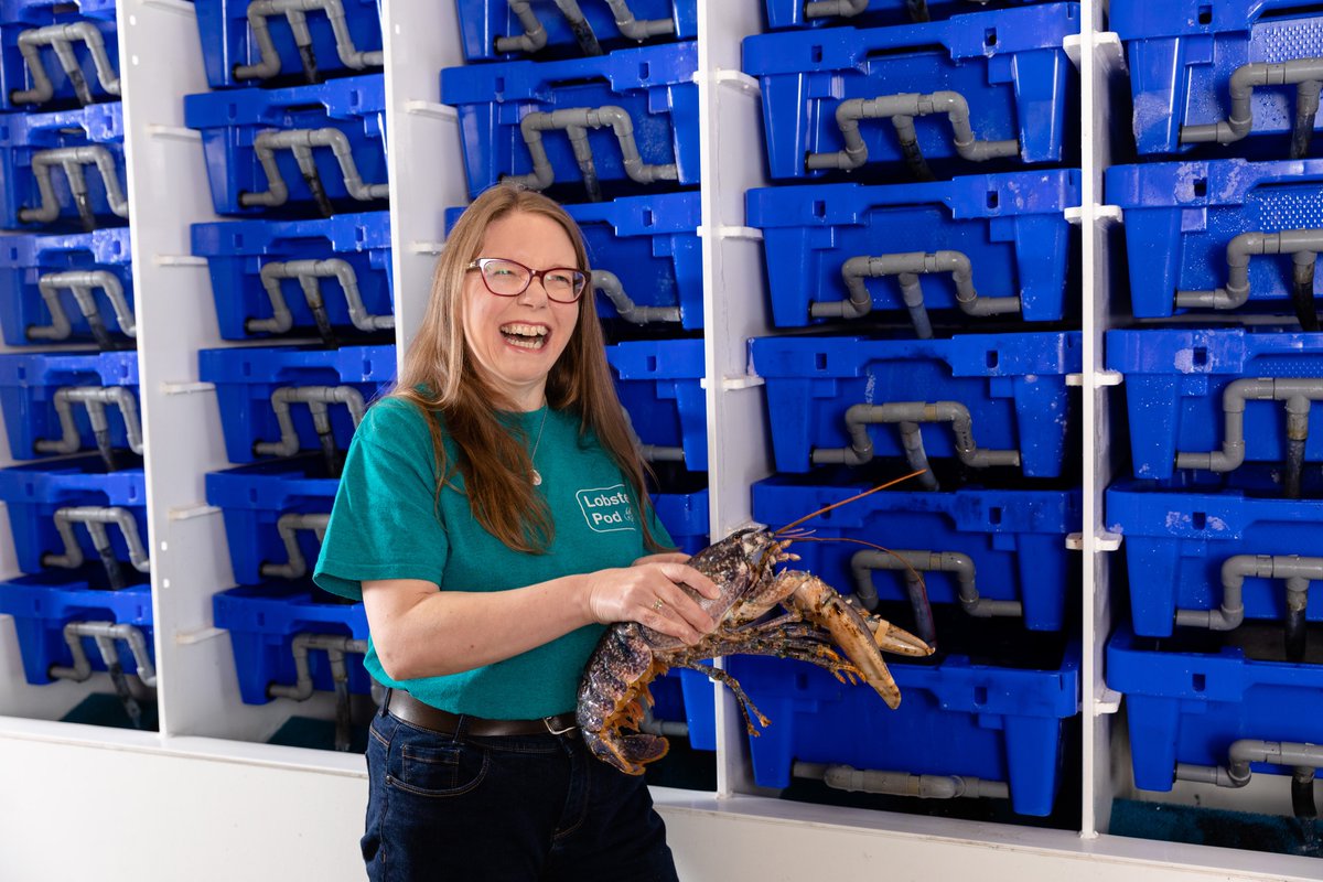 ToddFishTech's tweet photo. Marine Fund Scotland 2026 is now open.
Deadline: May 15th
If you’re planning a shellfish holding or purification system this season now is the time to move. We’re already busy and working first come, first served.
Get in touch to discuss your project. https://t.co/oSEPBQF0D2 https://t.co/AxKWjFcNW0