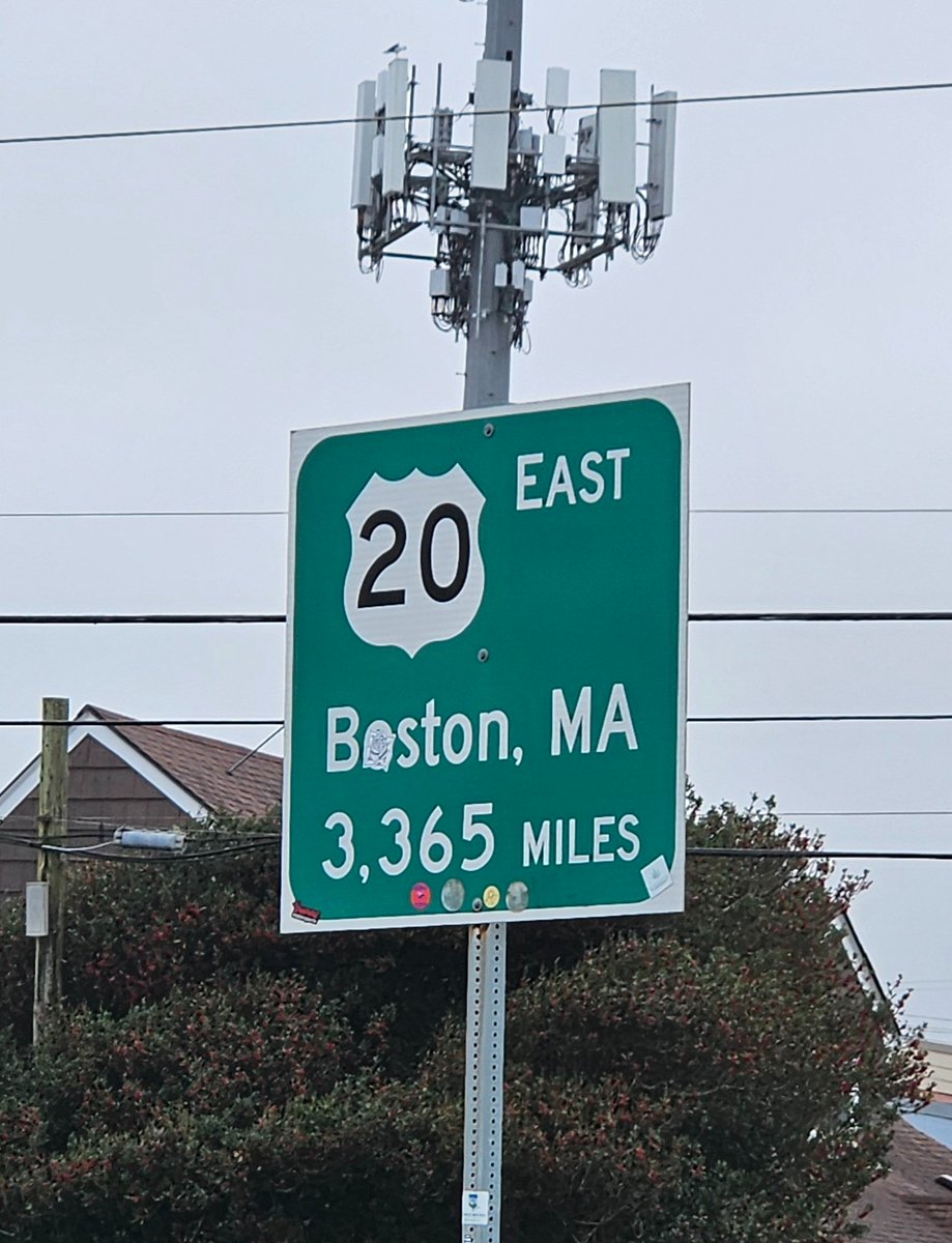 SnakeMug tweet media