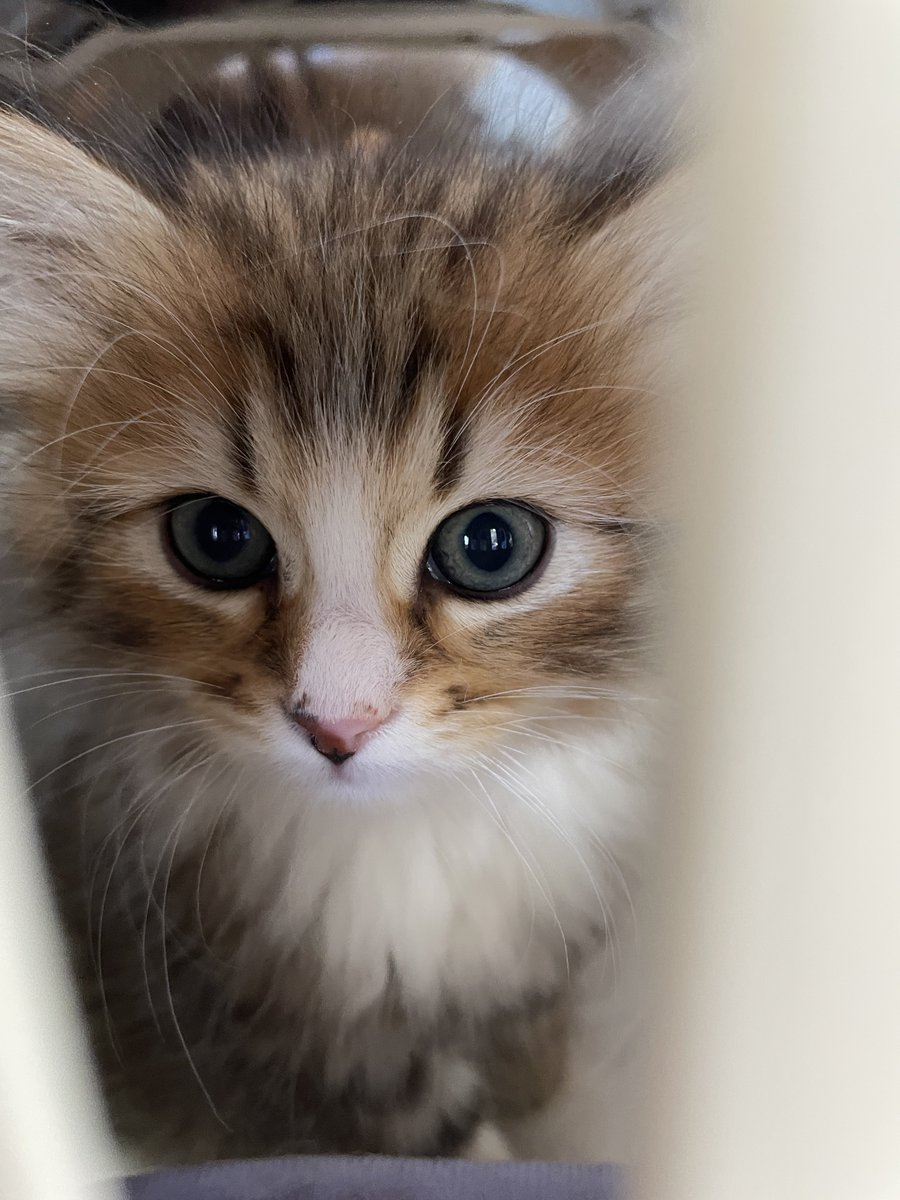 𝚈𝚞𝚞𝚗𝚊 tweet media