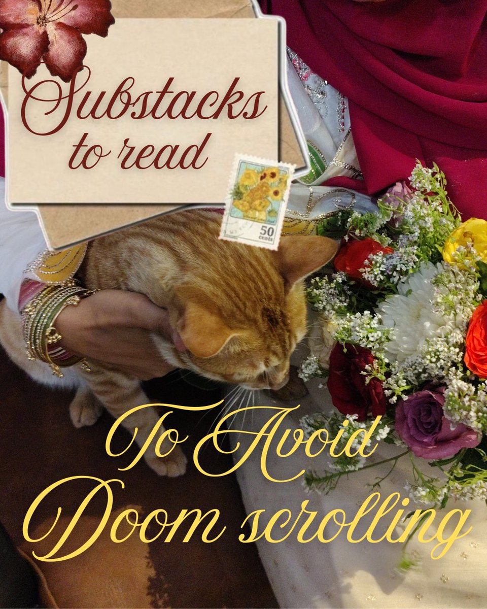 Rakhshan 💫 tweet media