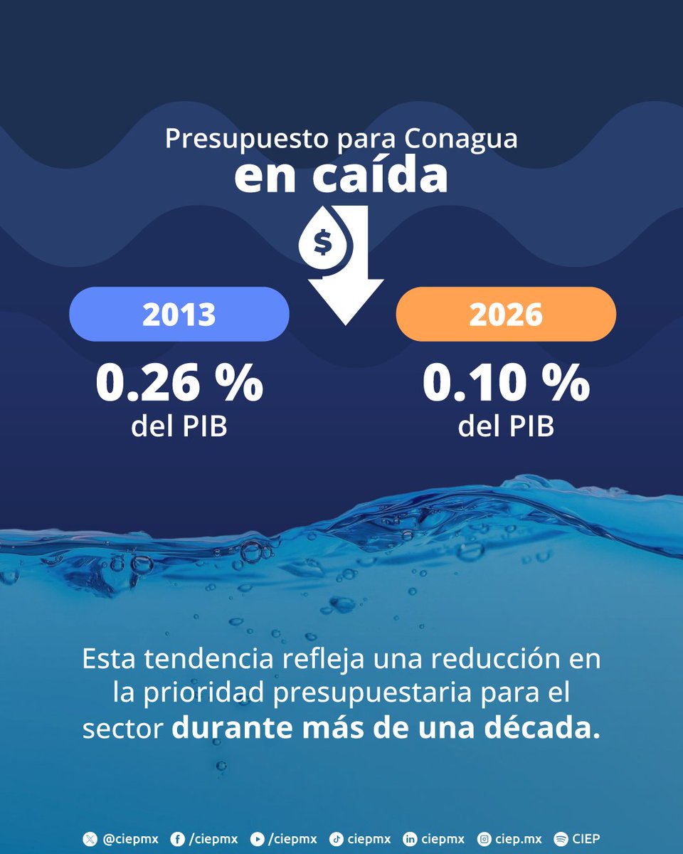 CIEP, A.C. tweet media