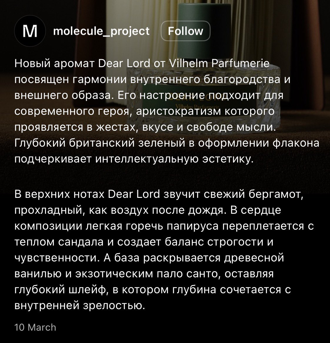 амбассадор диор tweet media