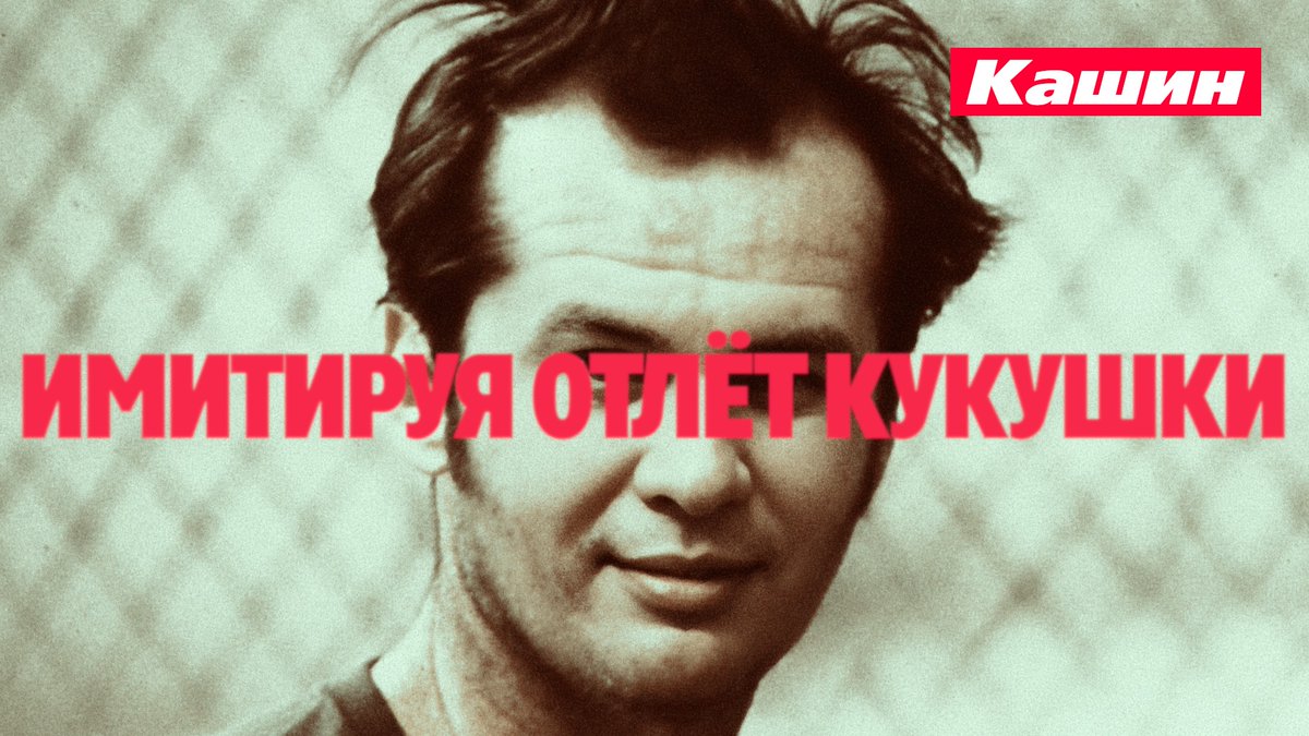 Kashin⚓Kashin🇬🇧Kashin tweet media