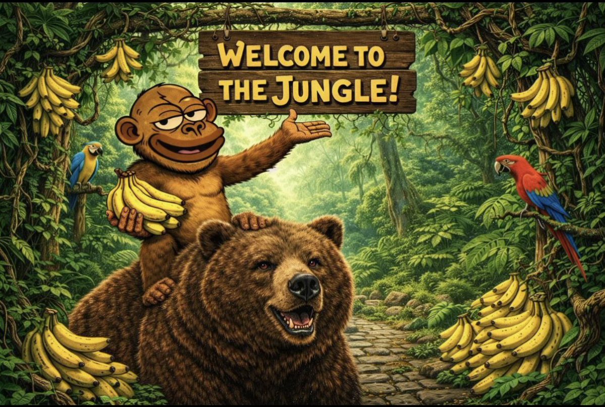 ⚡️Volcano tweet media