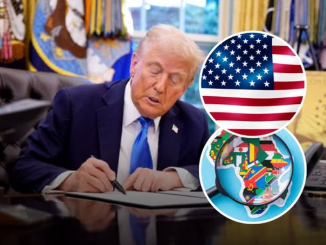 African Hub tweet media