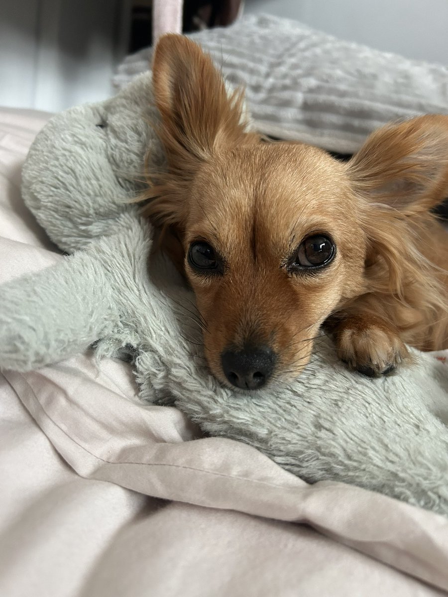 Leiane.eth  ☮️ tweet media