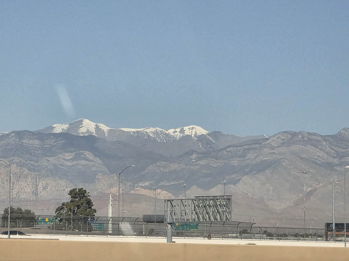 Pennys2Vegas tweet media