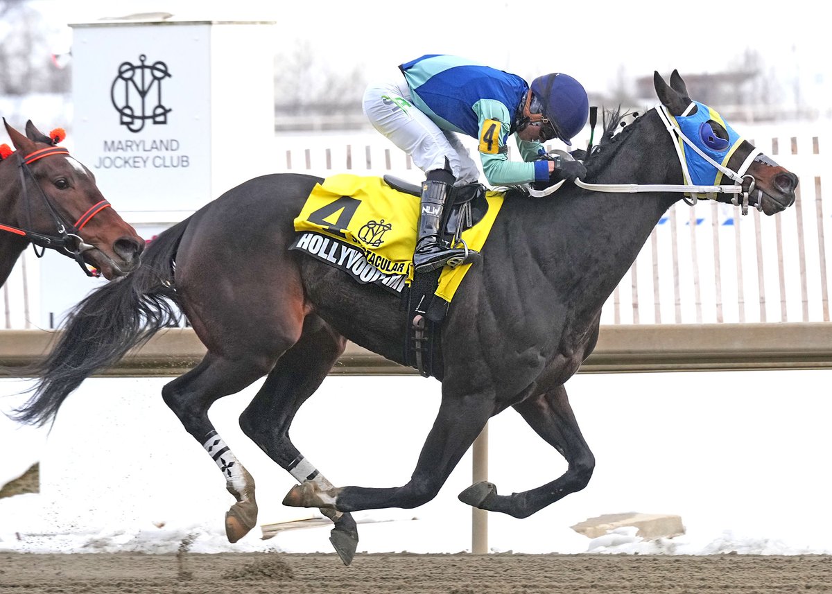 The Maryland Jockey Club, Inc. tweet media