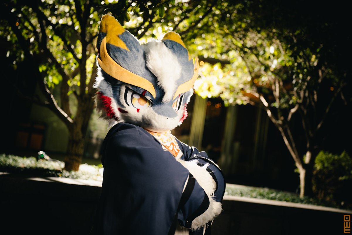 猫柠Maoning ～ tweet media