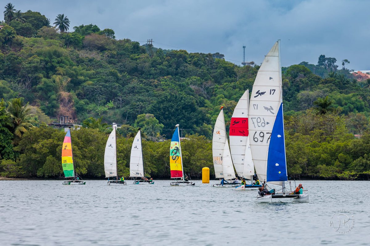 IPAC Bahia tweet media