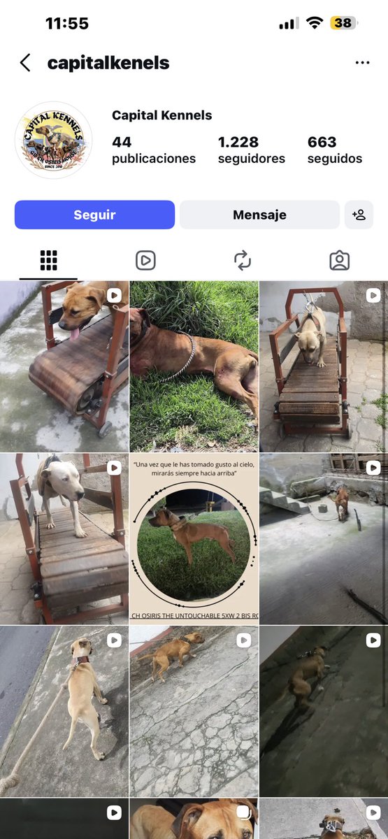 Ecuadorplay tweet media