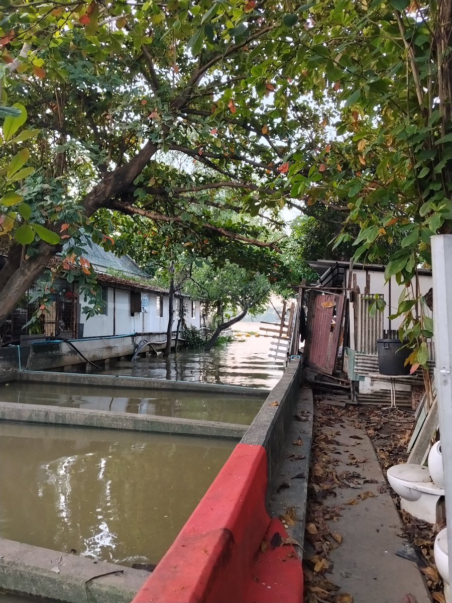 โกเด้น แถวสวนเบญ tweet media