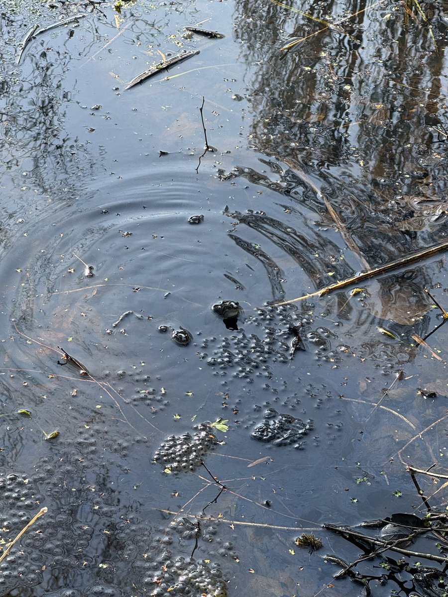 HT_OssettY12 tweet media