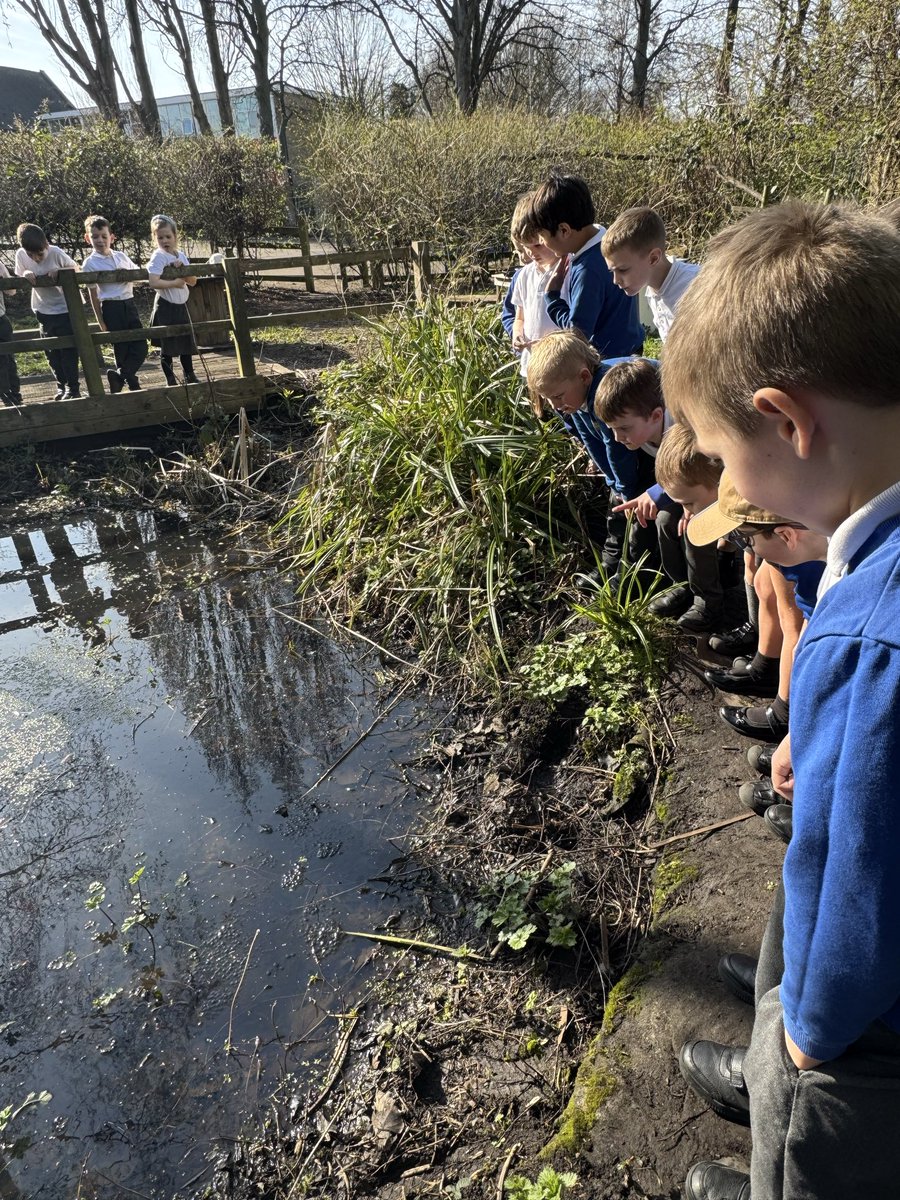 HT_OssettY12 tweet media