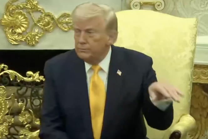 Autism Capital 🧩 tweet media