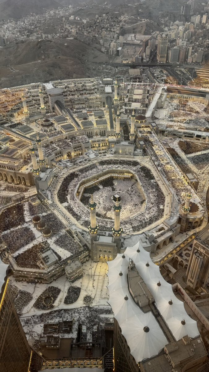 أبو شيهانة tweet media