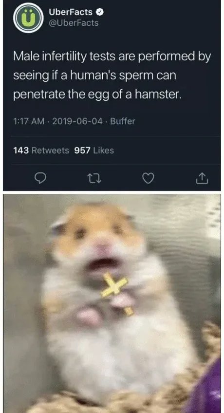 Chaos Coordinator tweet media