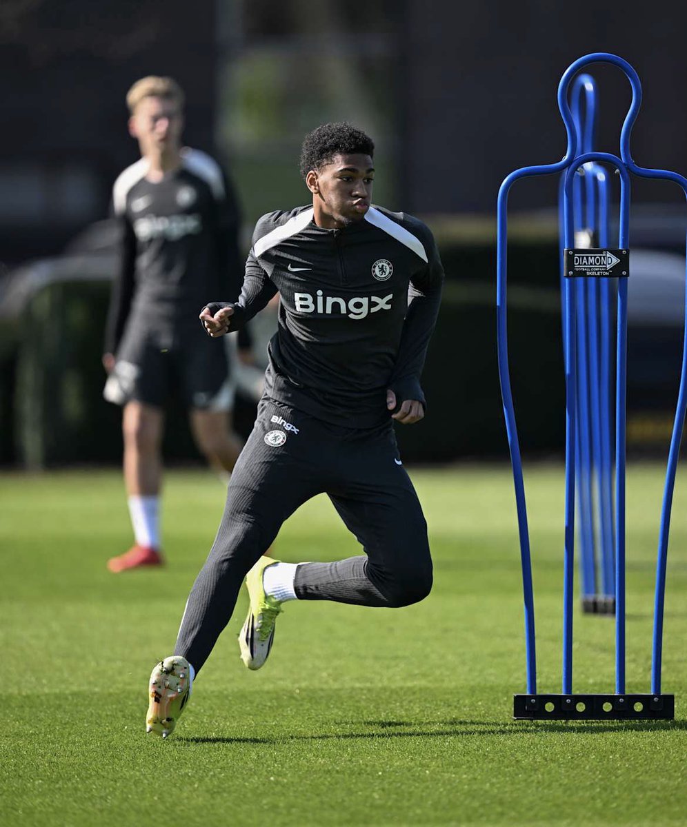 THE CHELSEA FORUM tweet media