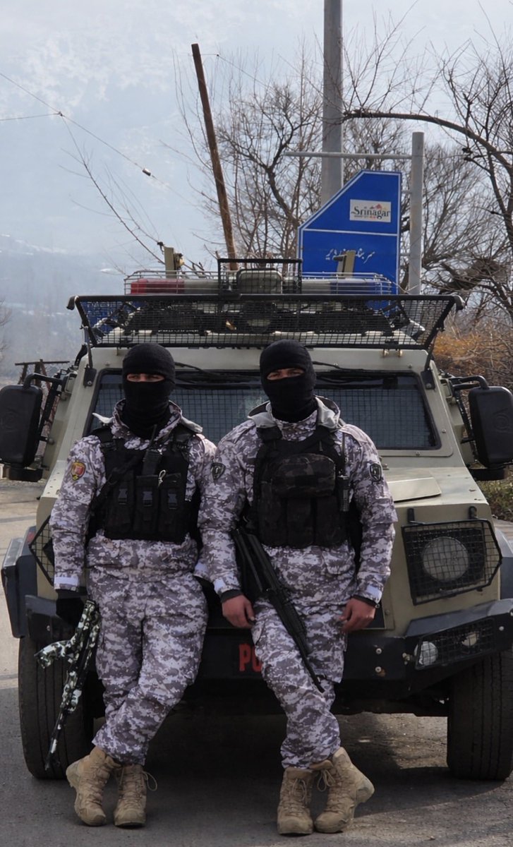 Mike Lima tweet media