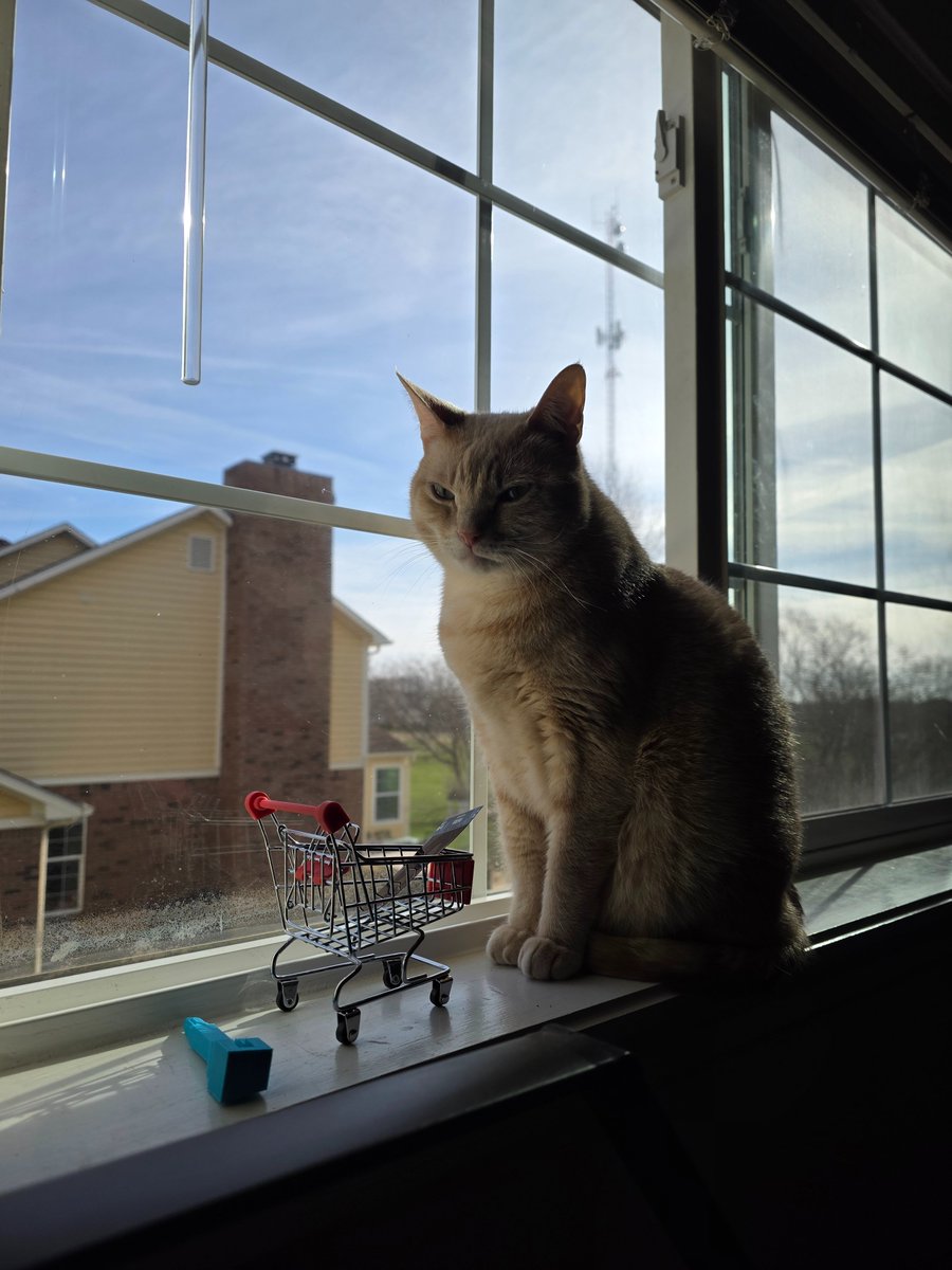 Duke Newcomb tweet media