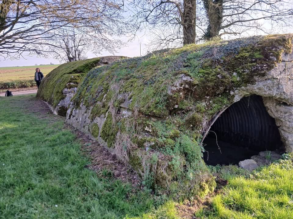 Tales From The Battlefields Podcast tweet media