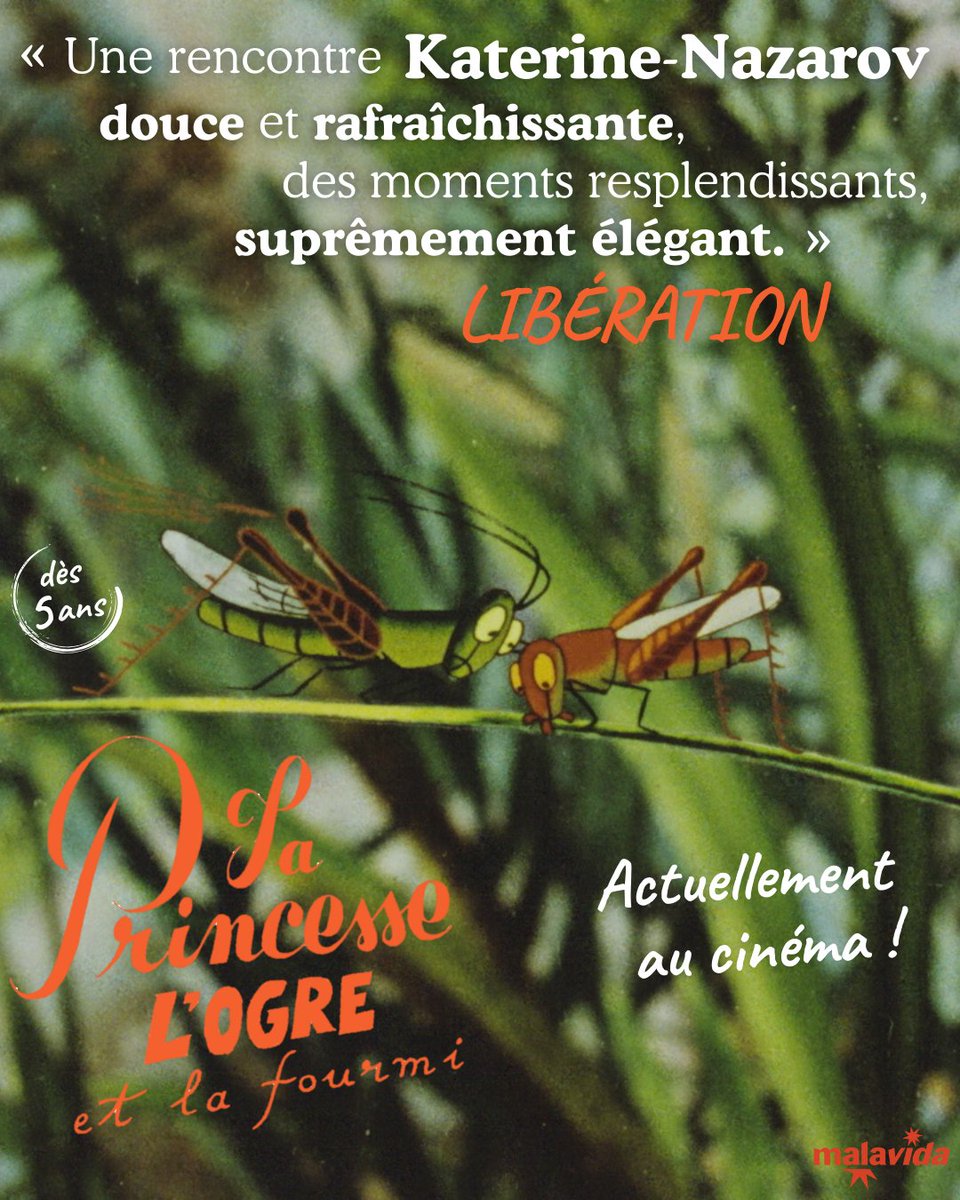 Malavida Films tweet media