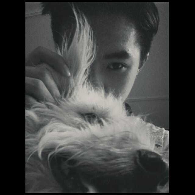 _huat_'s tweet photo. 晚安，Melly
我真的真的真的很爱你

你终于还是去到了那个没有痛苦的地方

在你最熟悉的家，家里都是你最熟悉的人，听着你最熟悉的热闹声，闻着你最熟悉的味道，你静静地离开了，虽然当下我们没有紧紧地围在你身旁，但你知道我们都在家里

谢谢你十几年的陪伴和一生的羁绊。 https://t.co/QfmG34kn5K