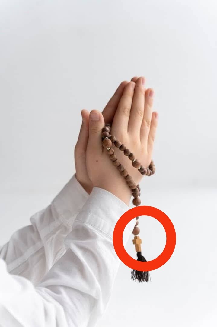 EZZA FADEL tweet media